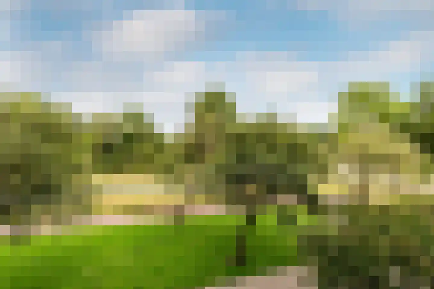 Texelhof 45 Haarlem thumbnail 19