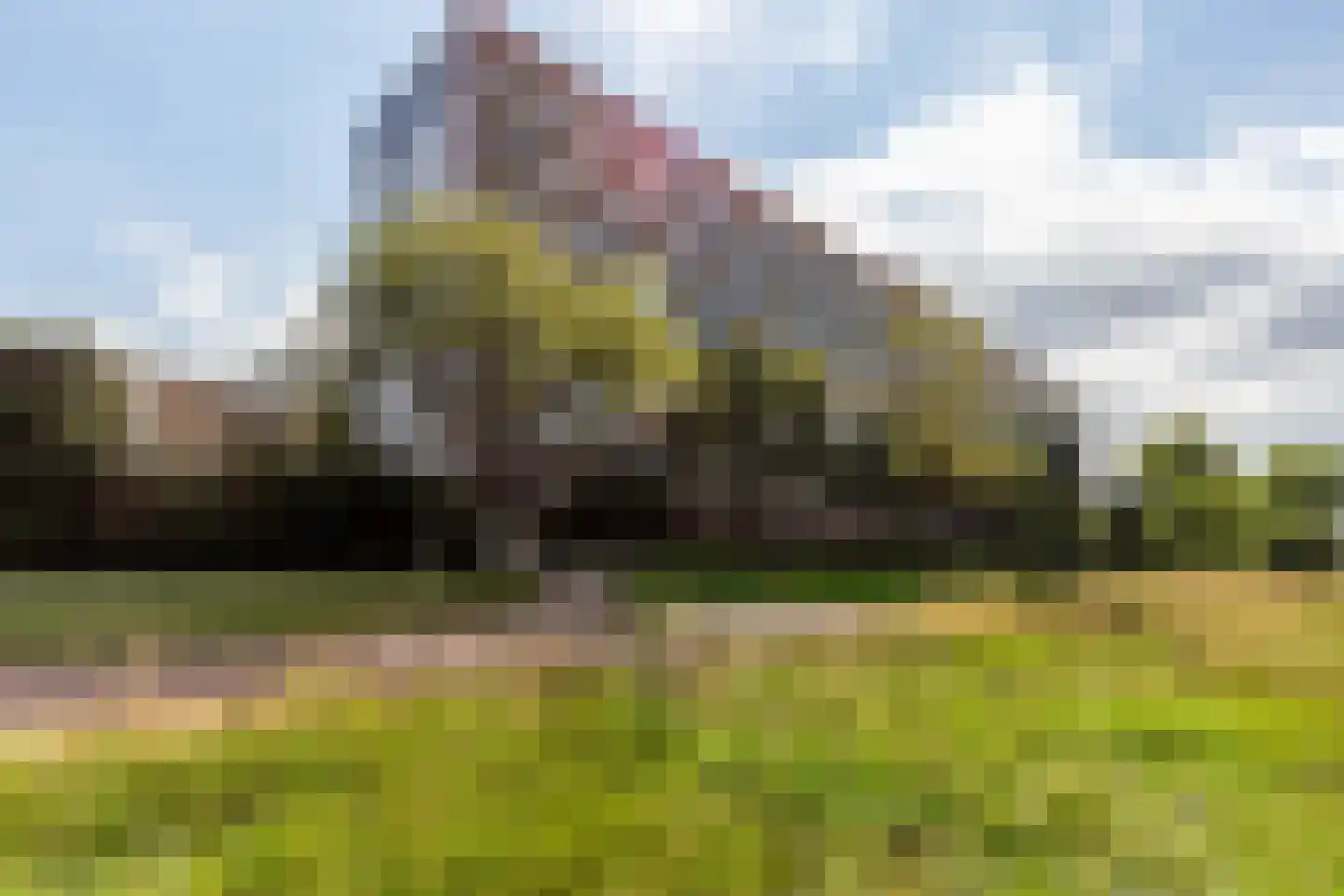 Texelhof 45 Haarlem thumbnail 20