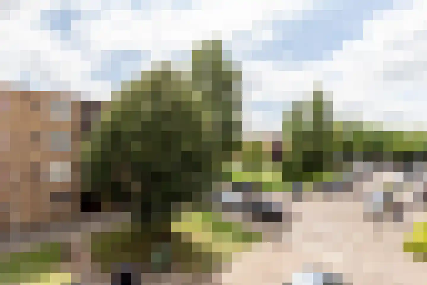 Texelhof 45 Haarlem thumbnail 21