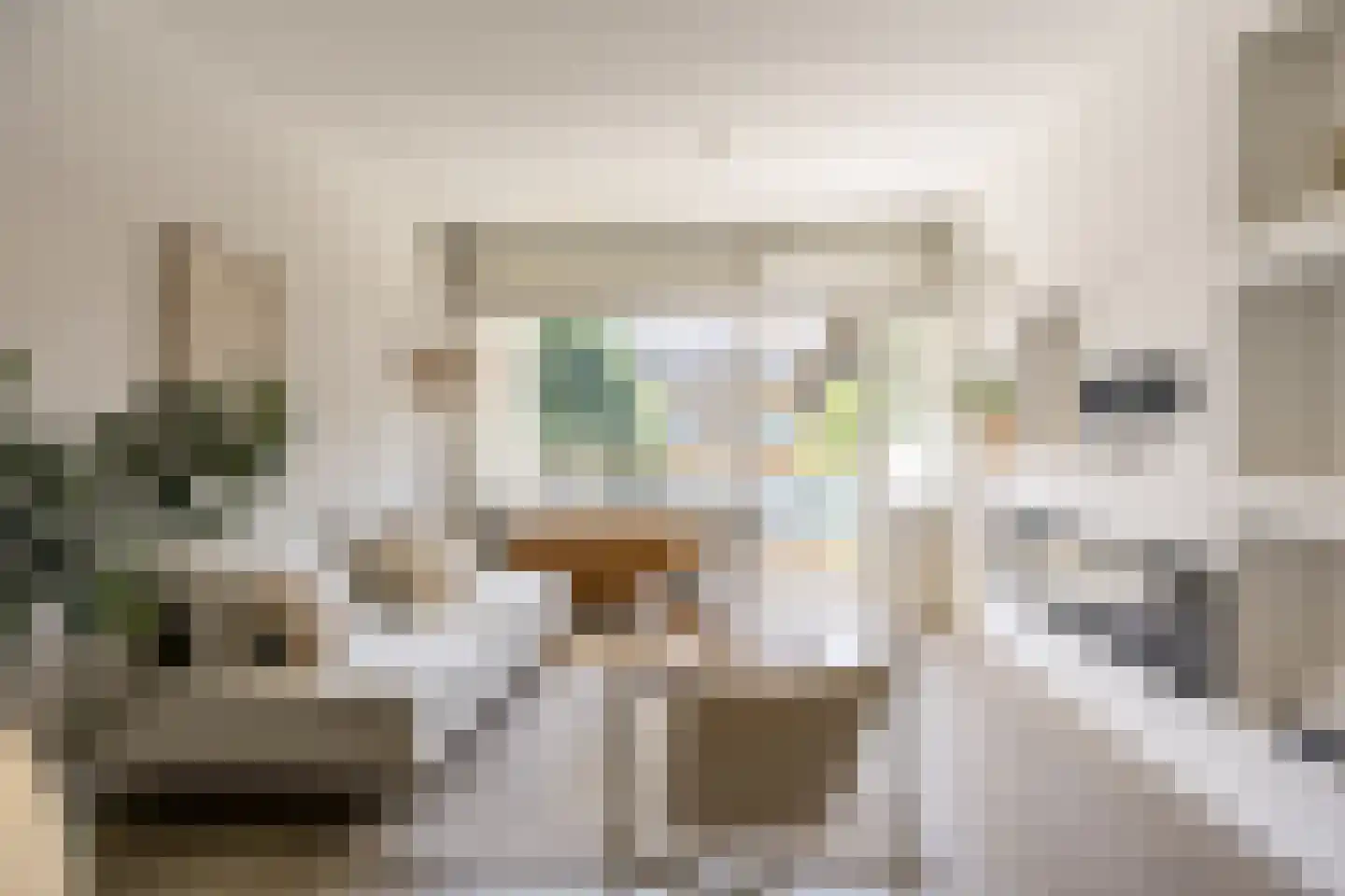 Texelhof 45 Haarlem thumbnail 5