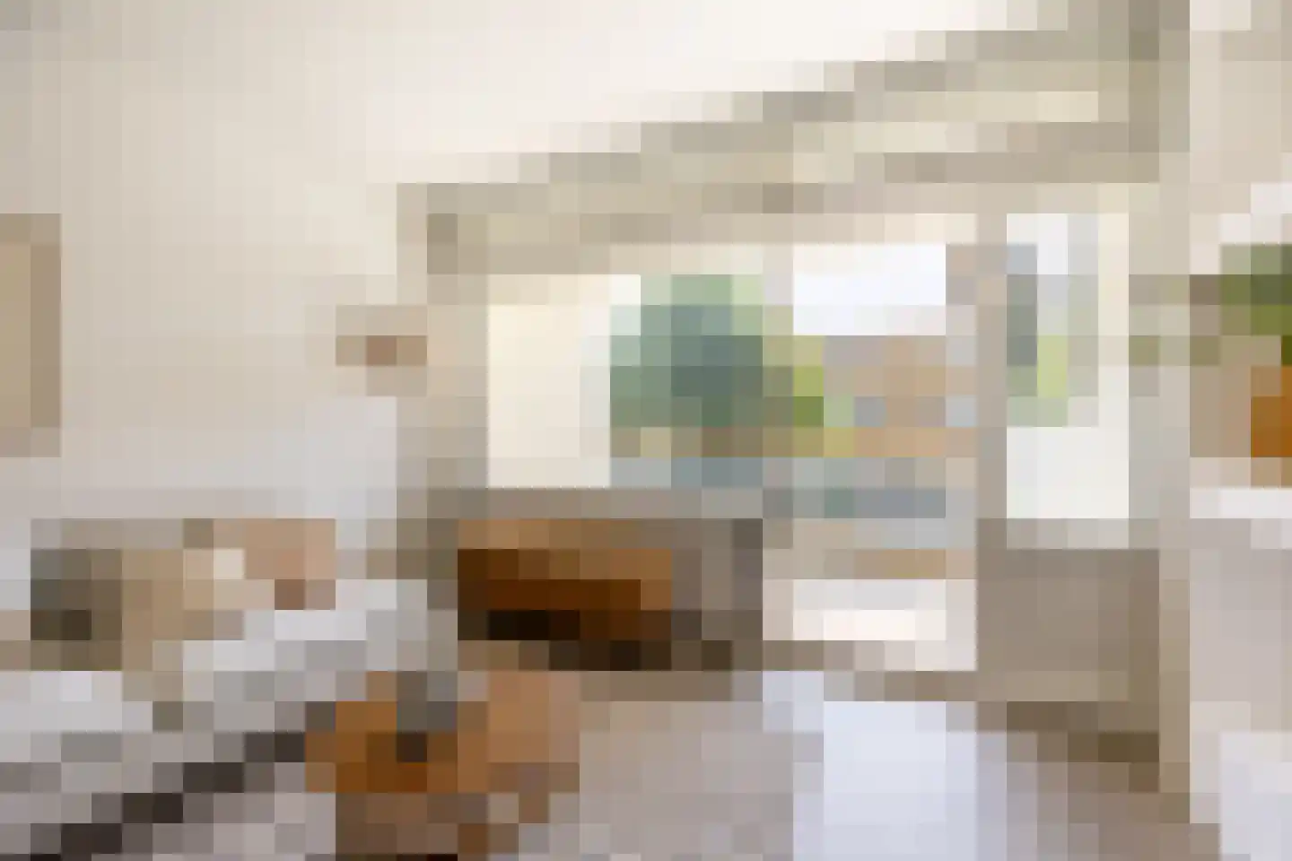 Texelhof 45 Haarlem thumbnail 6