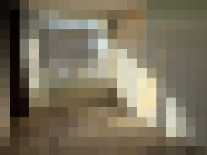 Texelhof 7 Haarlem thumbnail 14