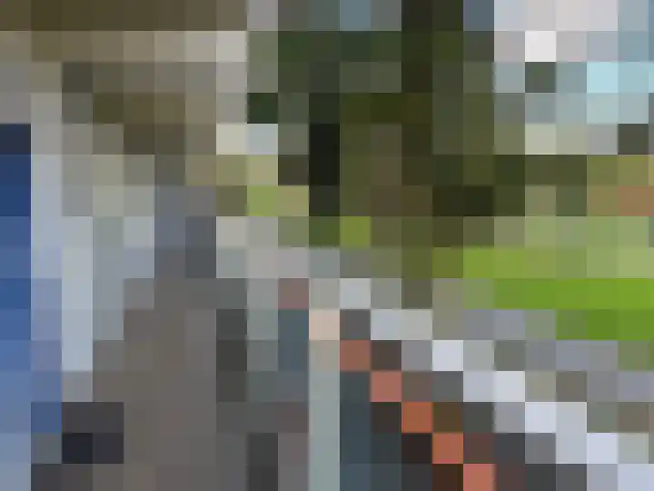 Texelhof 7 Haarlem thumbnail 22