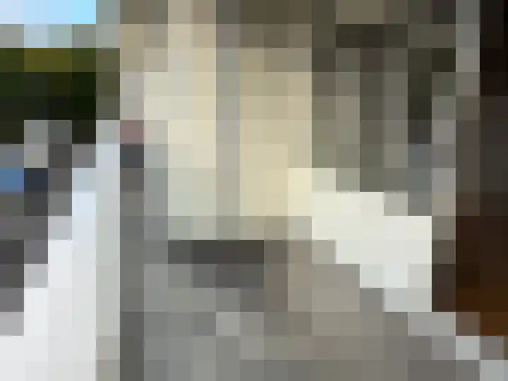 Texelhof 7 Haarlem thumbnail 8