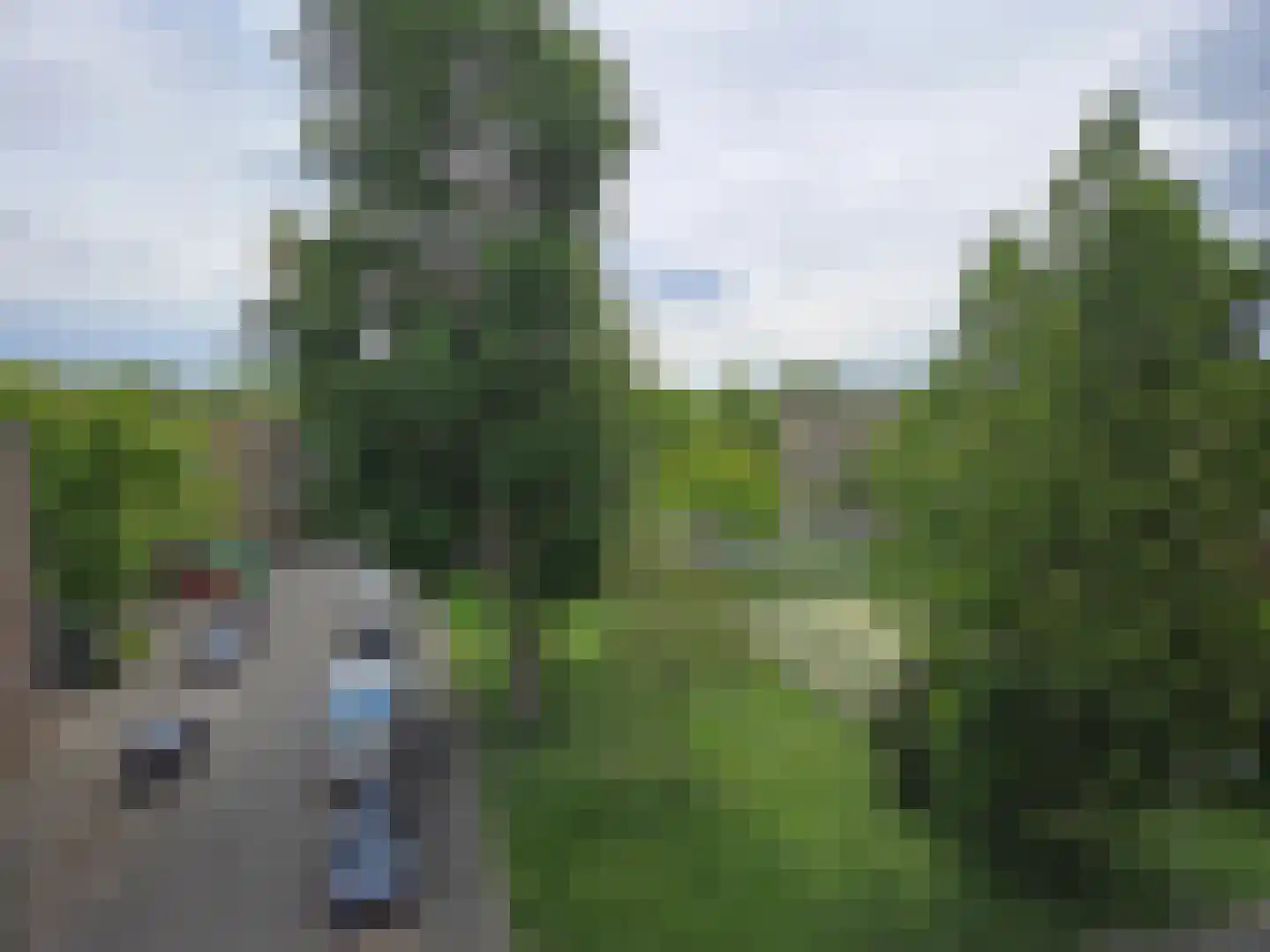 Texelhof 87 Haarlem thumbnail 7