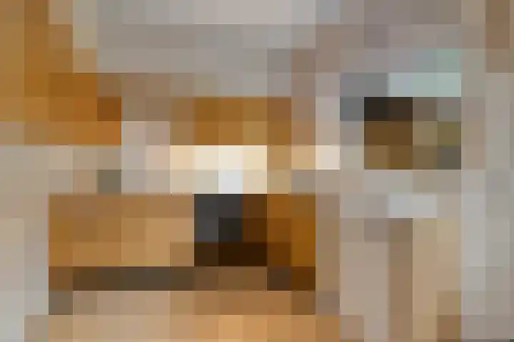 Texellaan 11 Son en Breugel thumbnail 10