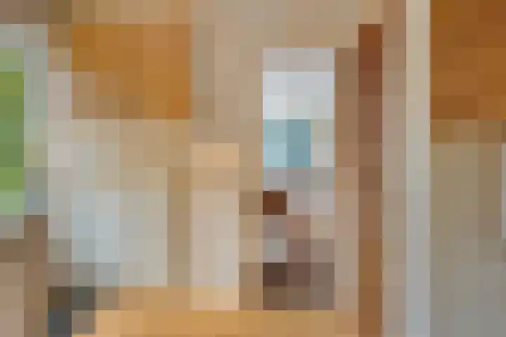 Texellaan 11 Son en Breugel thumbnail 12