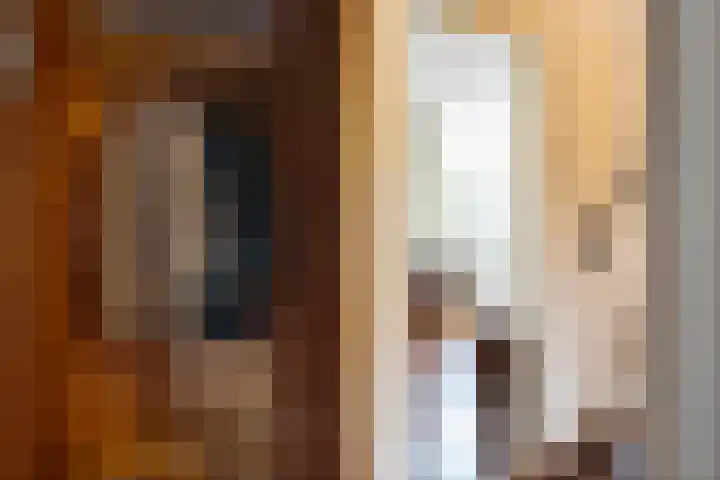 Texellaan 11 Son en Breugel thumbnail 13
