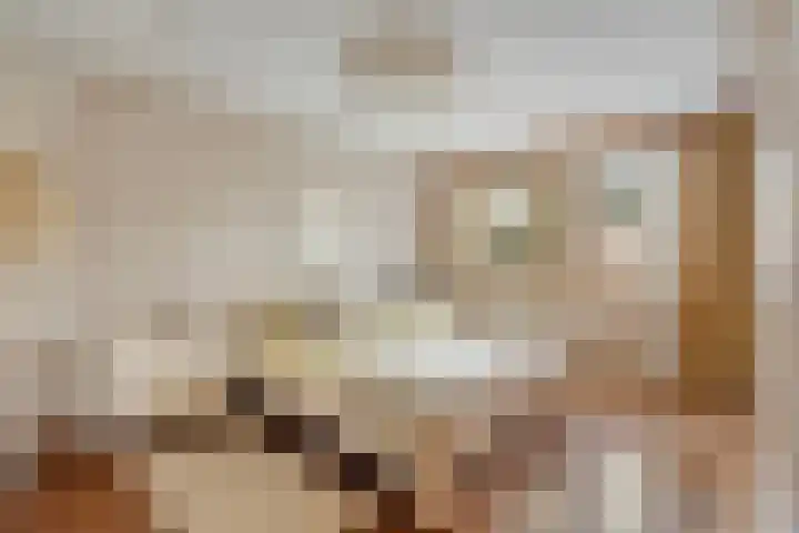 Texellaan 11 Son en Breugel thumbnail 18