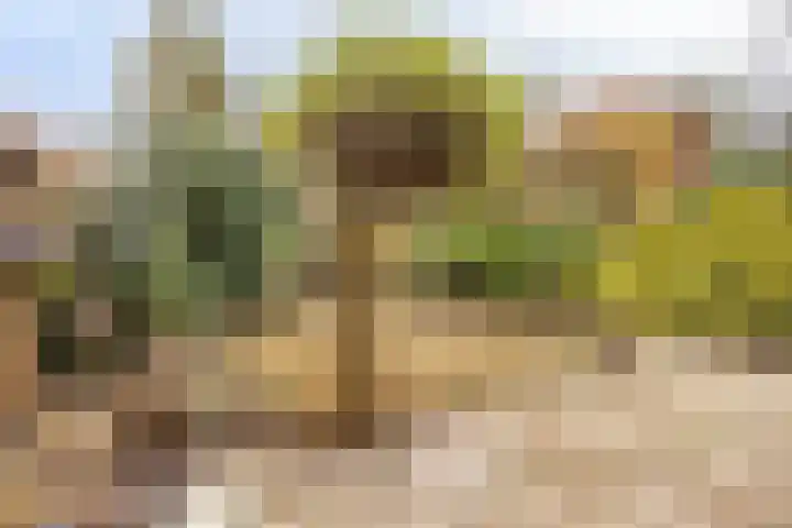 Texellaan 11 Son en Breugel thumbnail 24