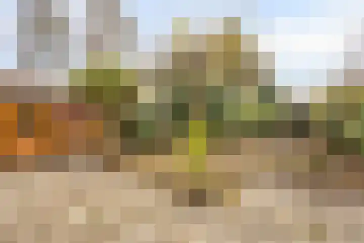 Texellaan 11 Son en Breugel thumbnail 25