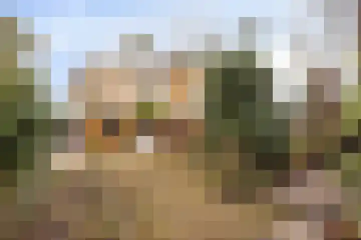 Texellaan 11 Son en Breugel thumbnail 26