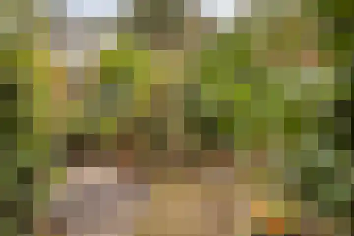 Texellaan 11 Son en Breugel thumbnail 27
