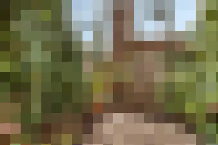 Texellaan 11 Son en Breugel thumbnail 28