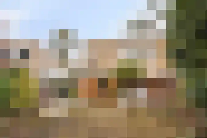 Texellaan 11 Son en Breugel thumbnail 29