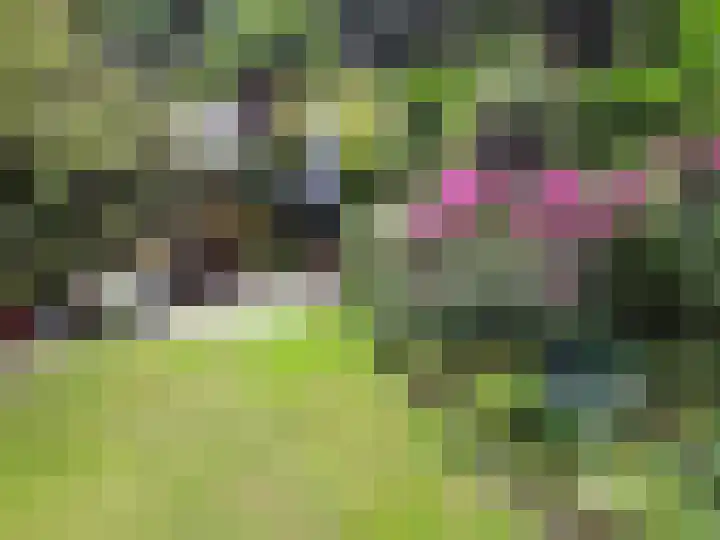 Texellaan 11 Son en Breugel thumbnail 30