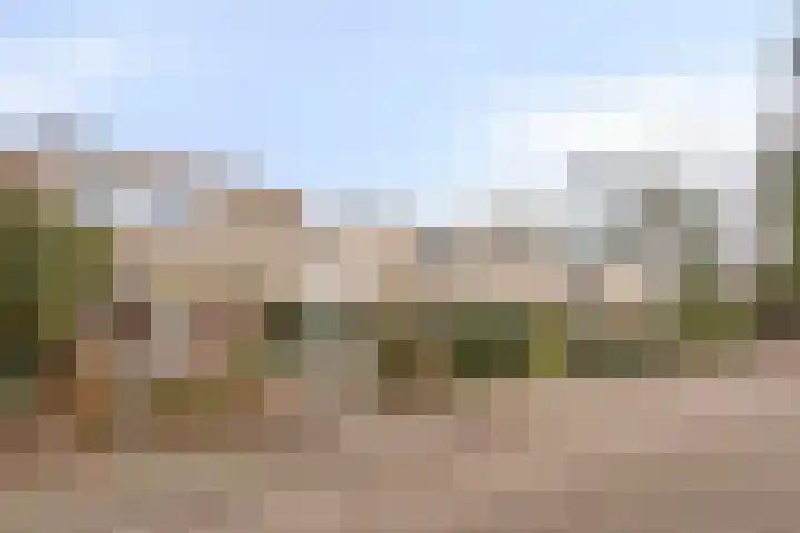 Texellaan 11 Son en Breugel thumbnail 32