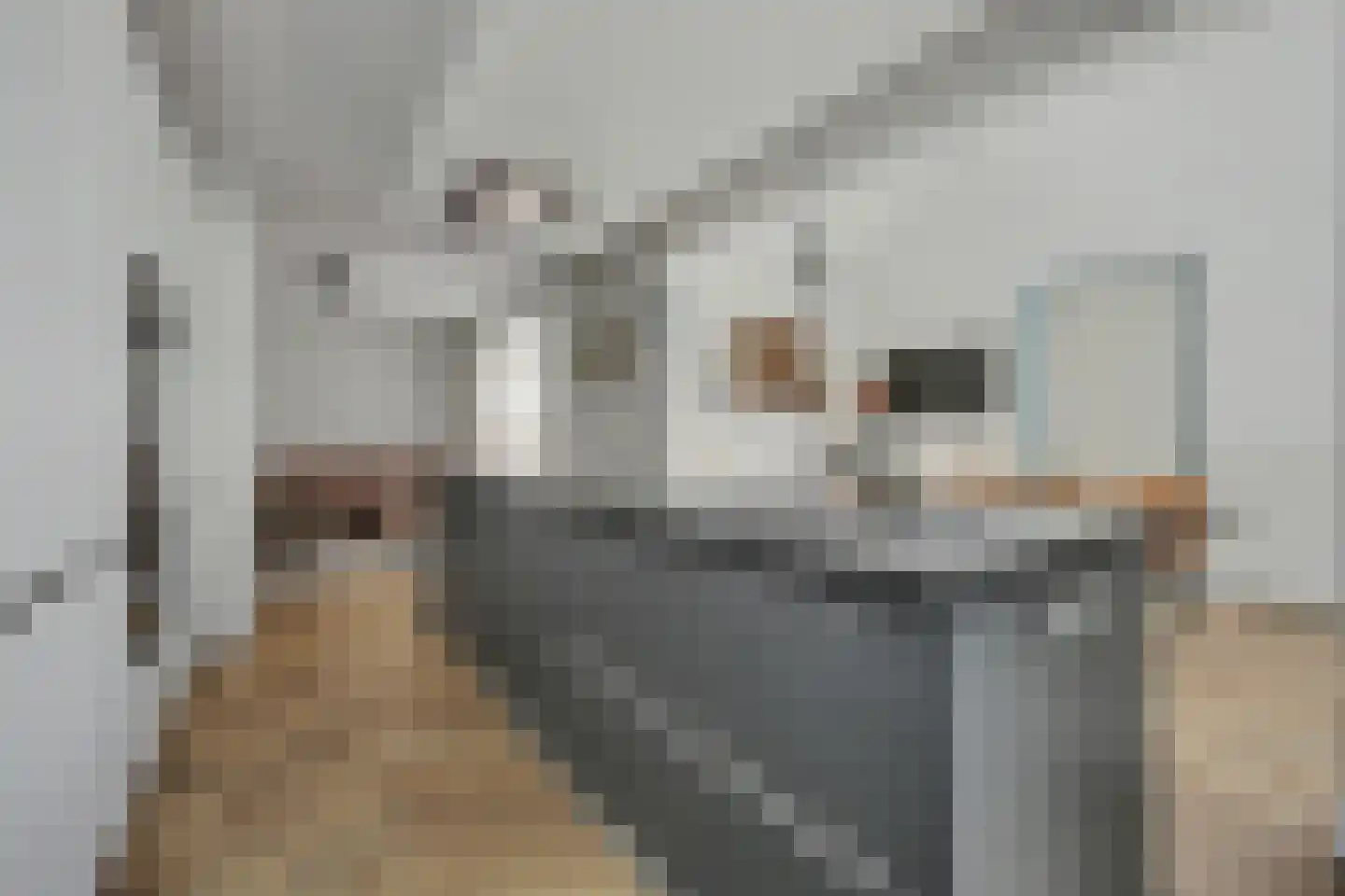 Texellaan 13 Enschede thumbnail 13