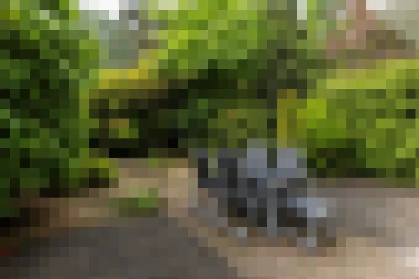 Texellaan 13 Son en Breugel thumbnail 42