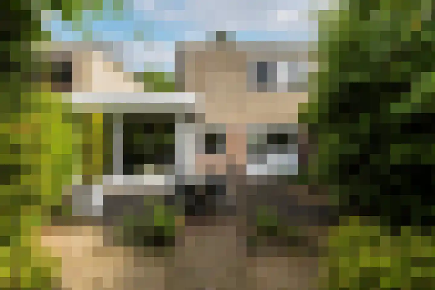 Texellaan 13 Son en Breugel thumbnail 43