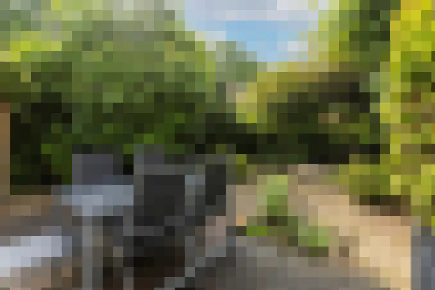 Texellaan 13 Son en Breugel thumbnail 5
