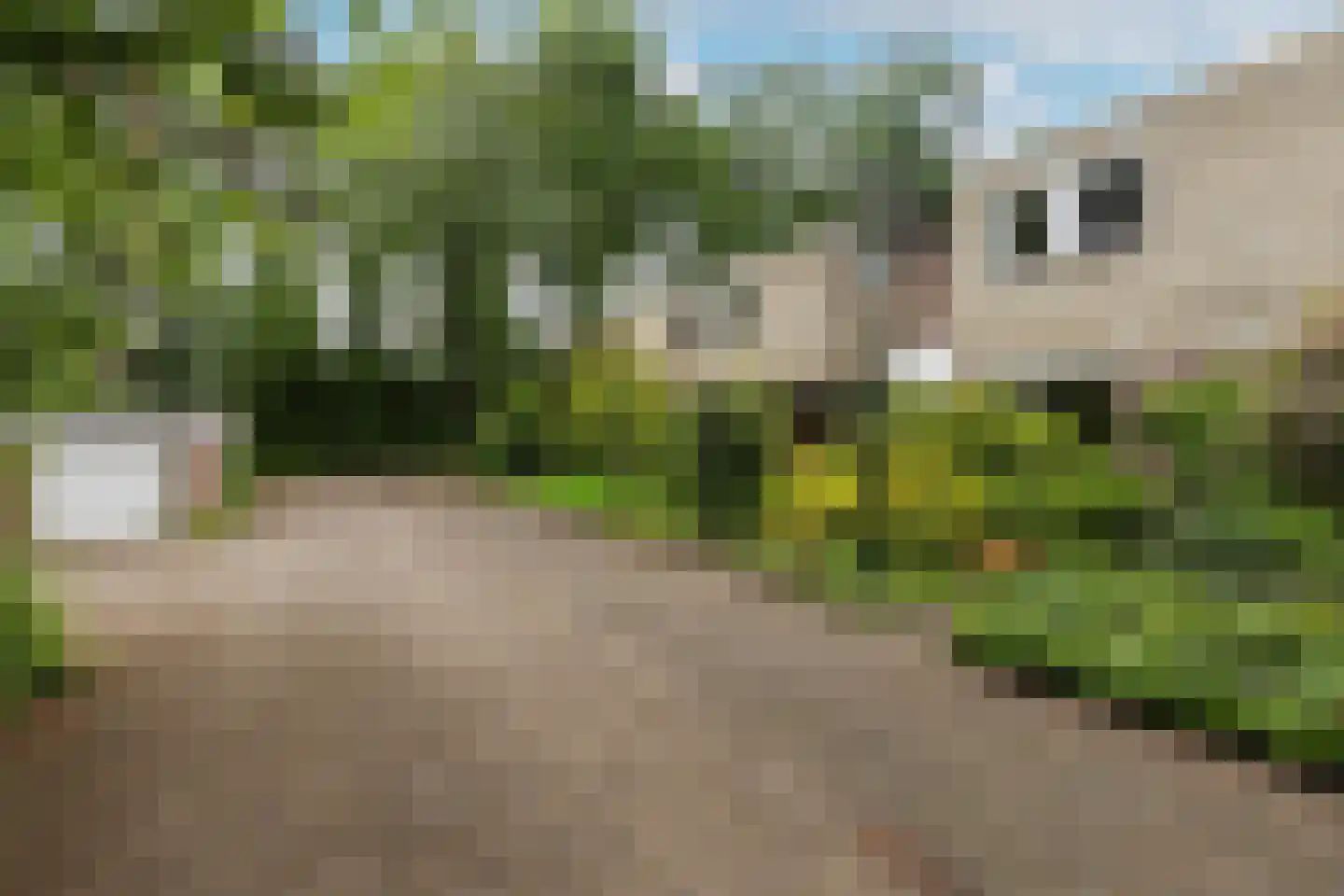Texellaan 13 Son en Breugel thumbnail 52