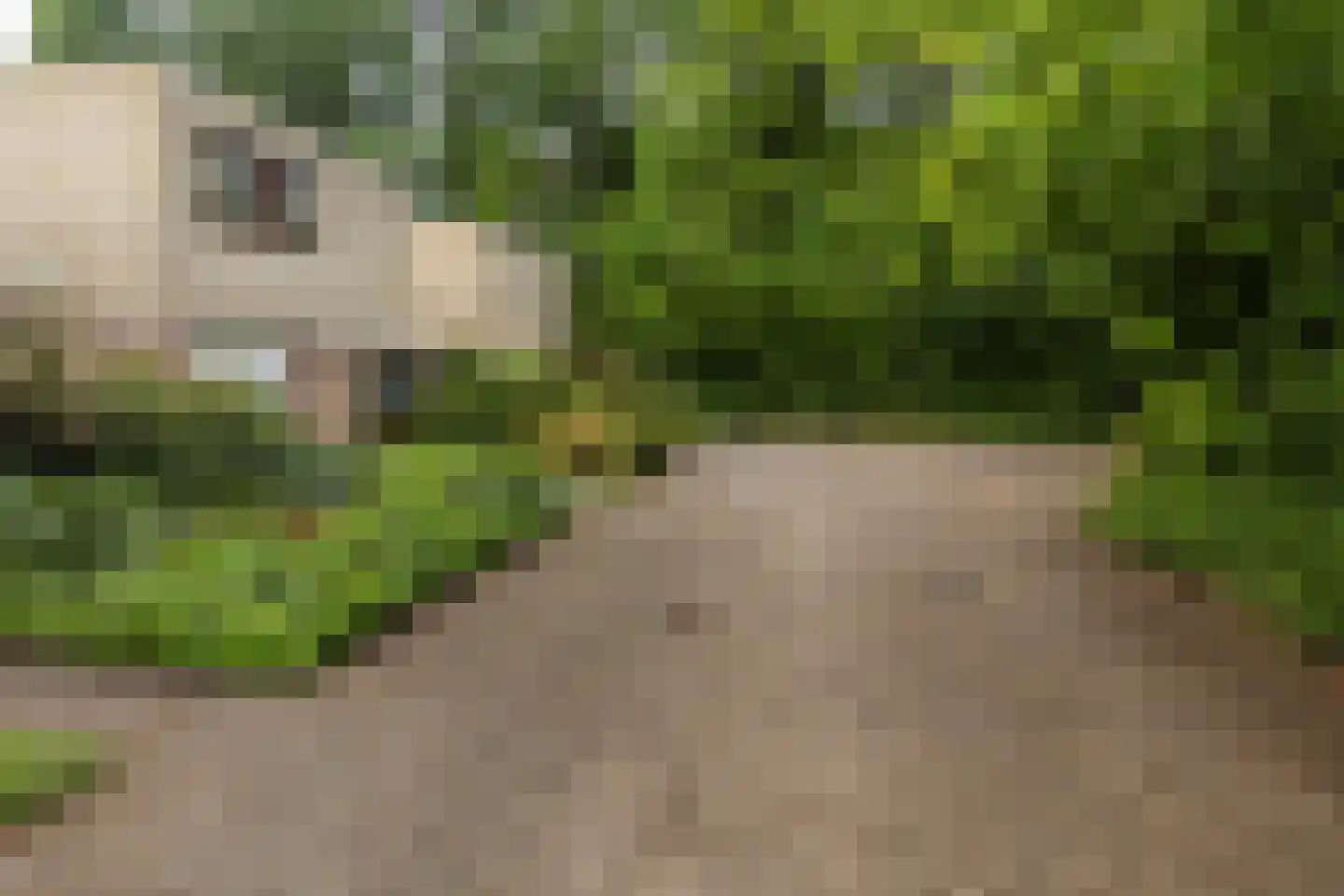 Texellaan 13 Son en Breugel thumbnail 53