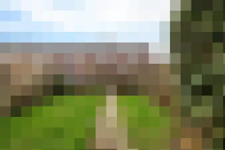 Texellaan 13 Stadskanaal thumbnail 20