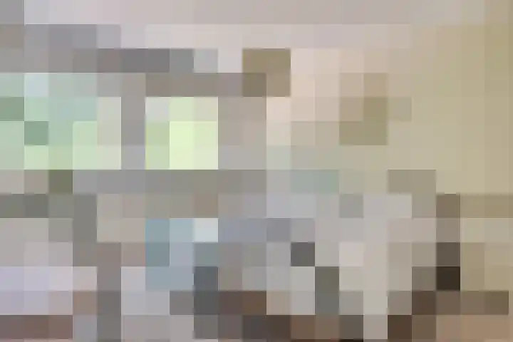 Texellaan 2 Son en Breugel thumbnail 24