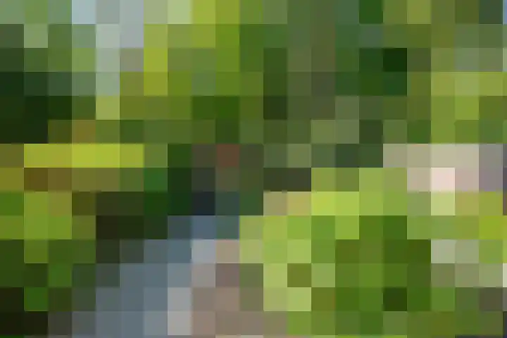 Texellaan 2 Son en Breugel thumbnail 36