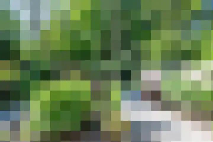 Texellaan 2 Son en Breugel thumbnail 38