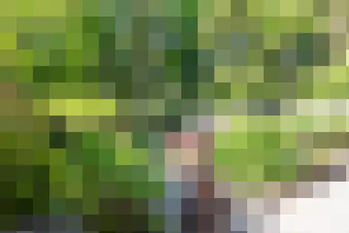 Texellaan 2 Son en Breugel thumbnail 39