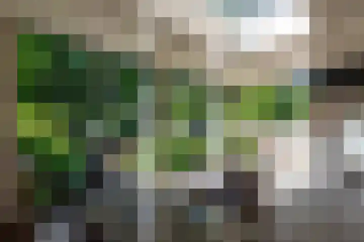 Texellaan 2 Son en Breugel thumbnail 42