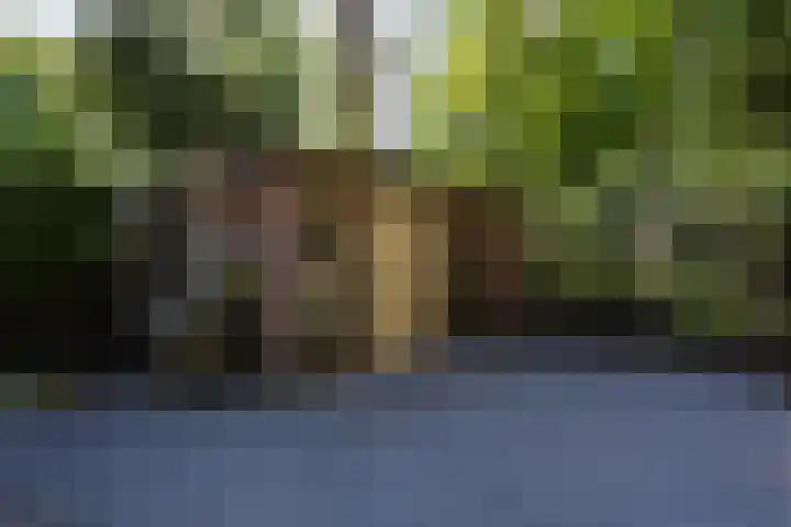 Texellaan 2 Son en Breugel thumbnail 43