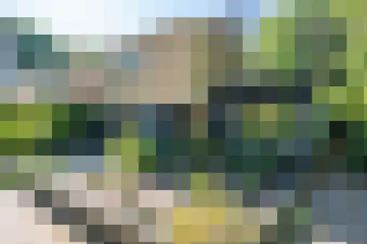 Texellaan 2 Son en Breugel thumbnail 46