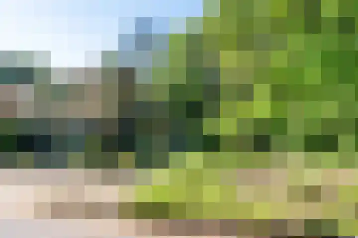 Texellaan 2 Son en Breugel thumbnail 48