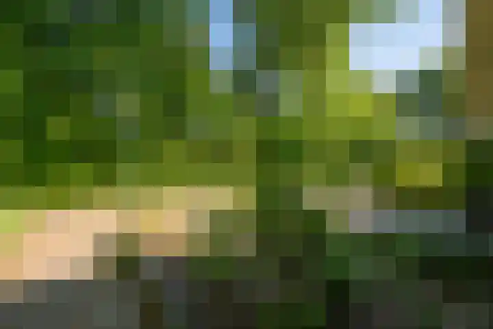 Texellaan 2 Son en Breugel thumbnail 49