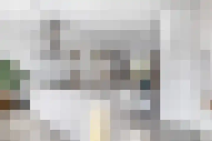 Texellaan 22 Gouda thumbnail 13