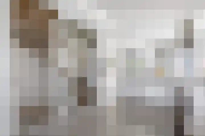 Texellaan 22 Gouda thumbnail 18