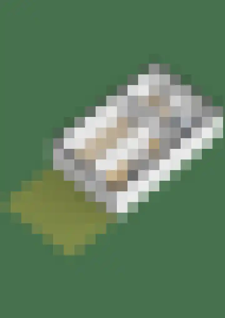 Texellaan 22 Gouda thumbnail 46