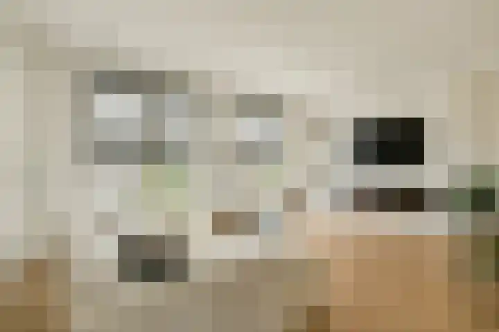 Texellaan 34 Gouda thumbnail 16