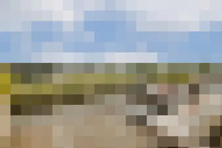 Texellaan 34 Gouda thumbnail 20