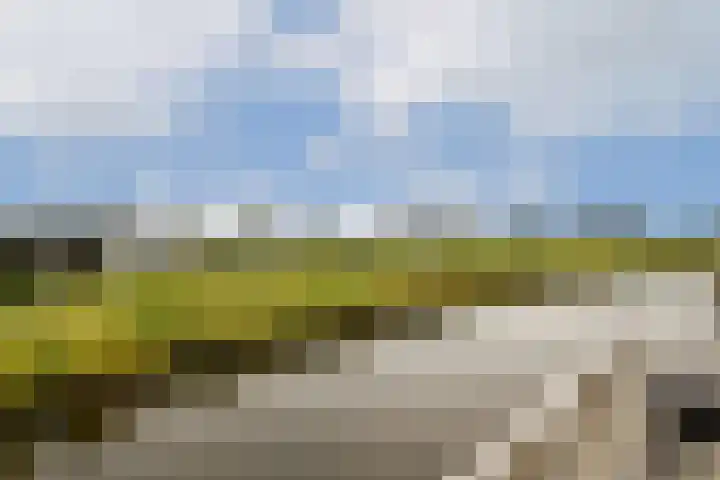 Texellaan 34 Gouda thumbnail 22