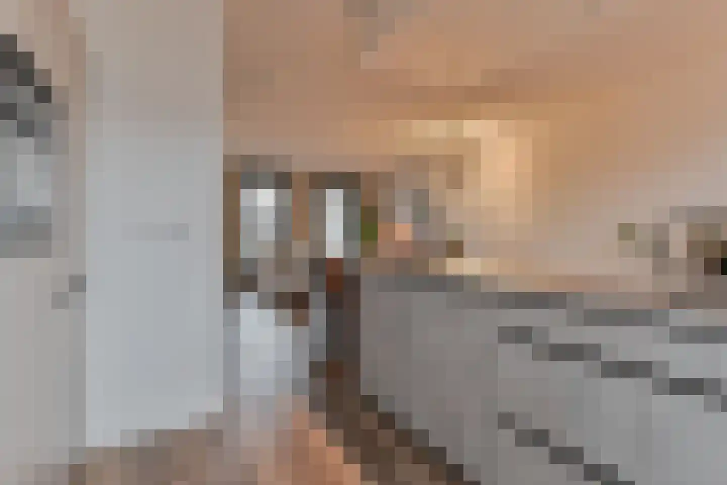 Texellaan 36 Gouda thumbnail 27