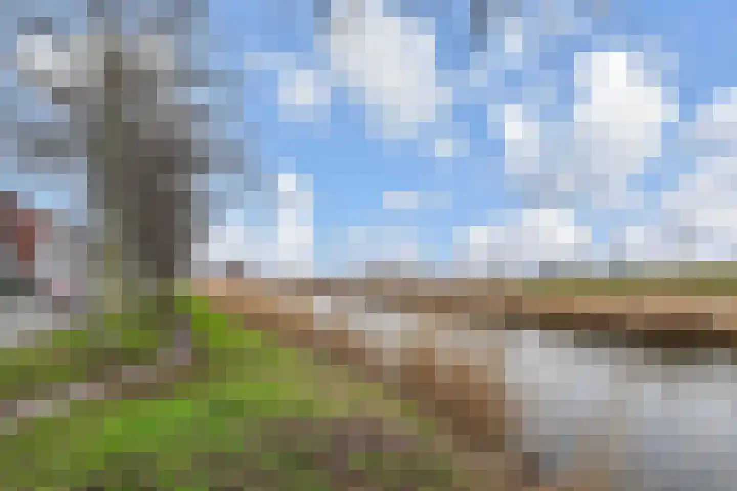 Texellaan 36 Gouda thumbnail 42