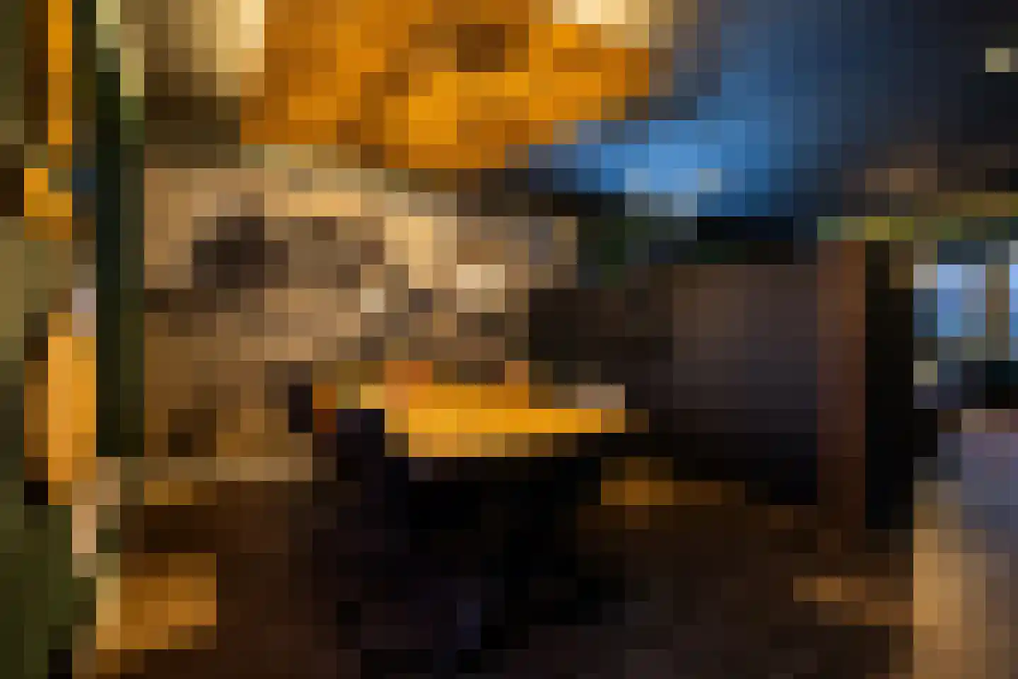 Texellaan 8 Gouda thumbnail 29