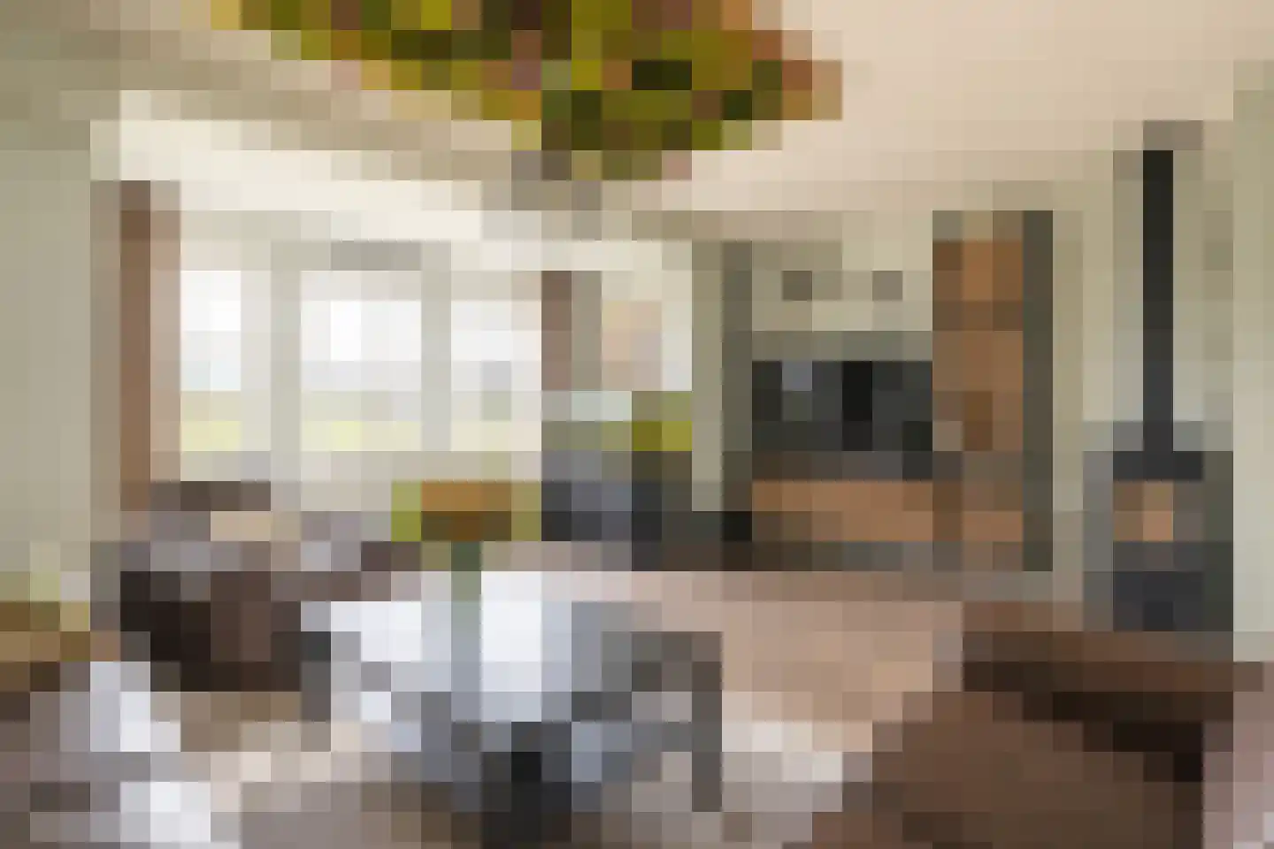 Texellaan 8 Gouda thumbnail 6