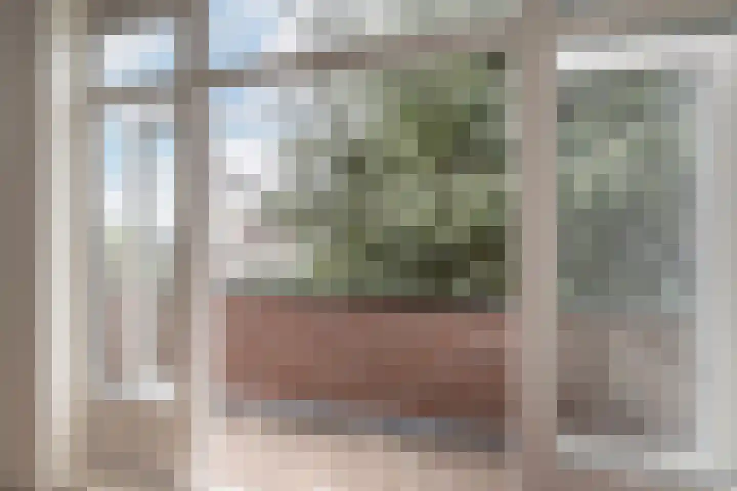 Texelsestraat 57 A Rotterdam thumbnail 7