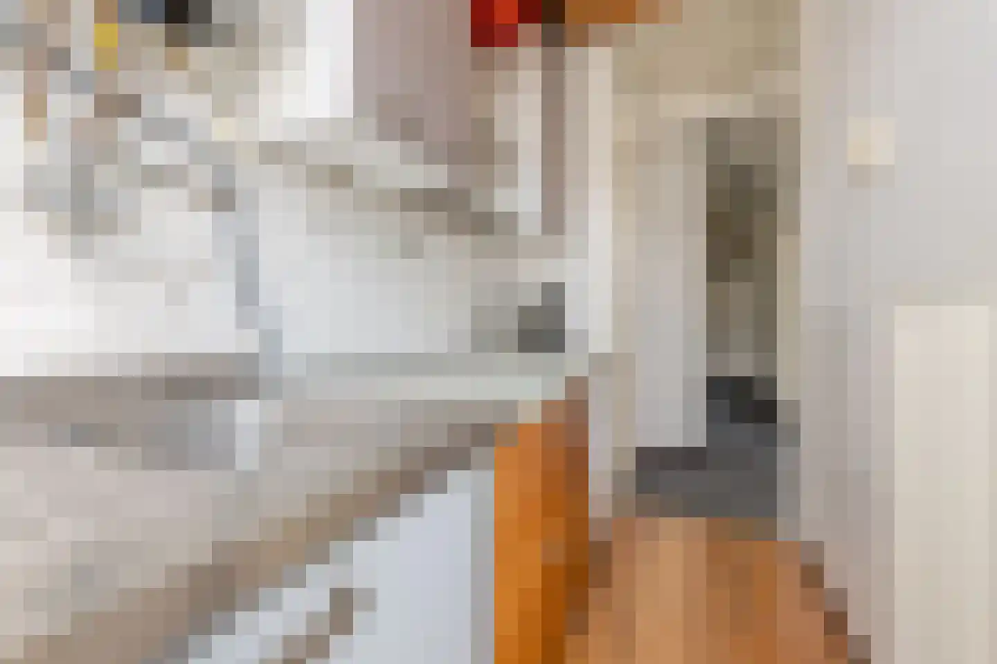 Texelsestraat 63 B Rotterdam thumbnail 20