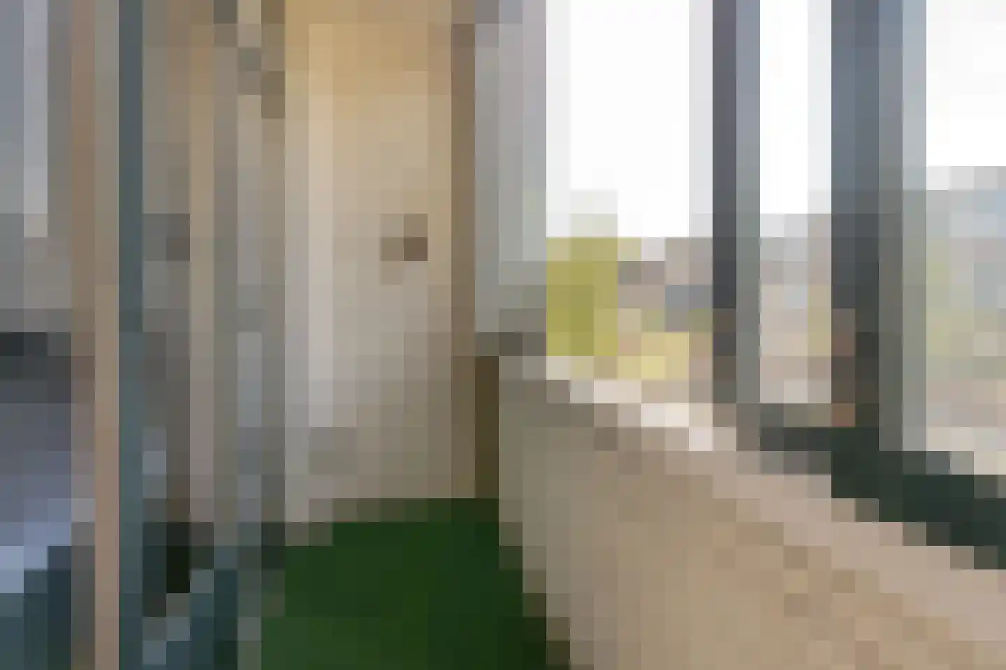 Texelsestraat 63 B Rotterdam thumbnail 22